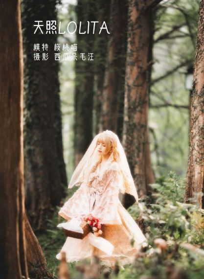 91豆奶视频-迅雷迅雷手机免费观看