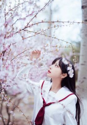 美女黄色免费-蓝光高清全集在线观看