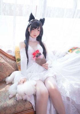 免费看的黄色网-蓝光日韩成人在线